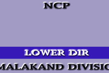 D1e9c9 ncp lower dir